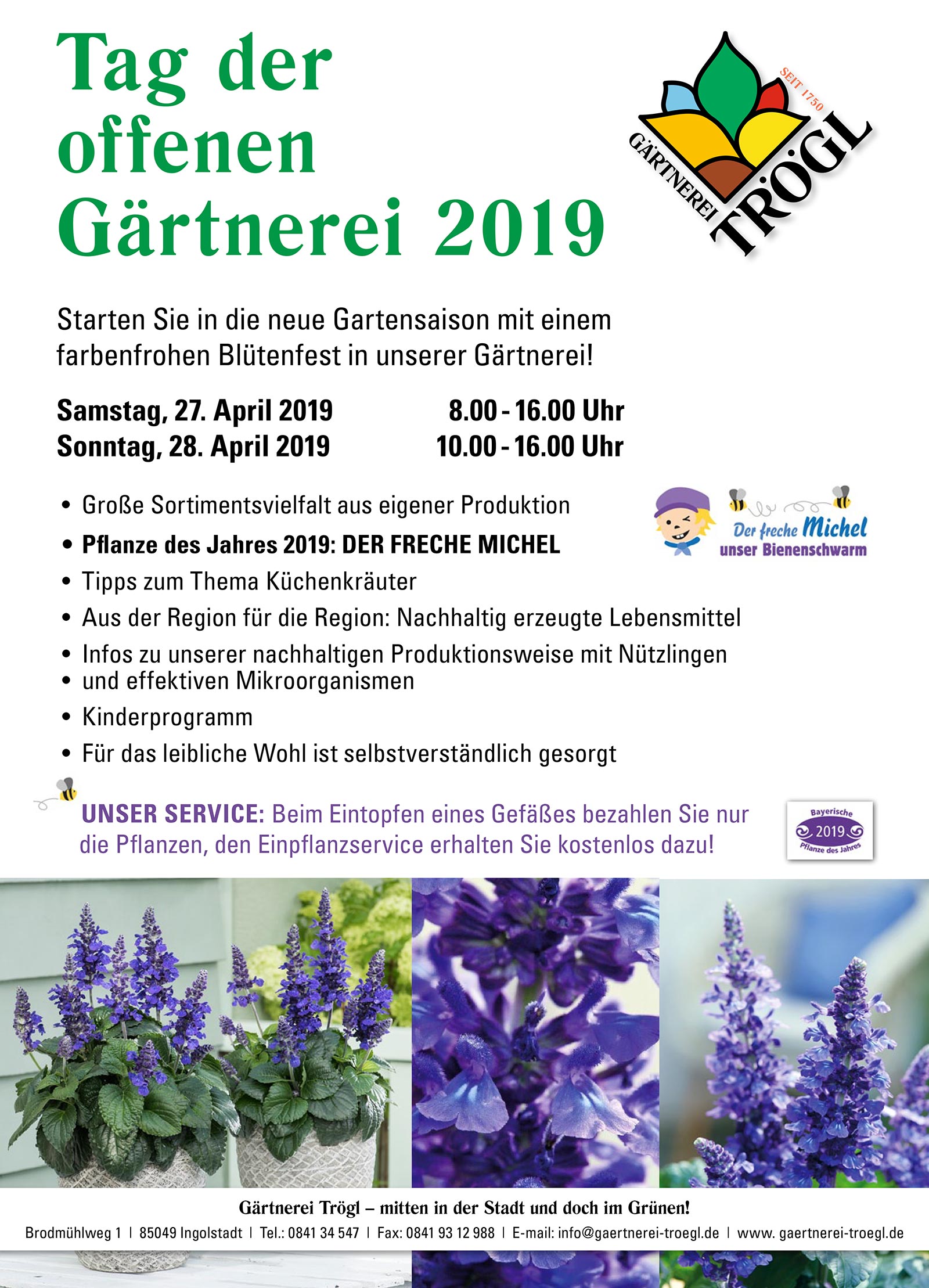 Gärtnerei Trögl in Ingolstadt - Ihr Gärtnerei für Pflanzen und Blumen in Ingolstadt